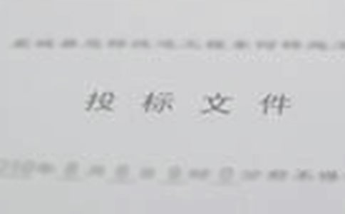 投标担保书10篇
