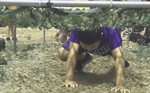 暑期夏令营校园横幅招生宣传标语收藏