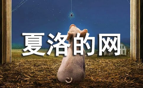 夏洛的网读后感[优选]