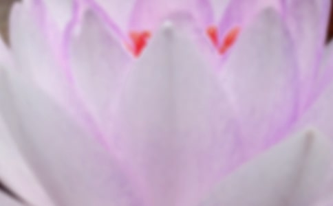 夏至养生短信