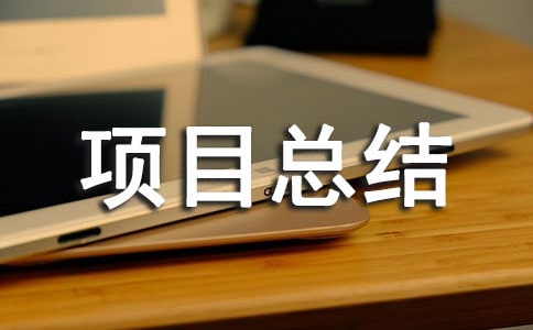 项目总结汇报