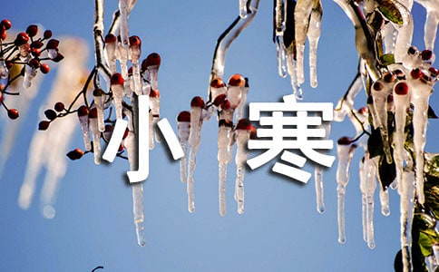 关于小寒作文