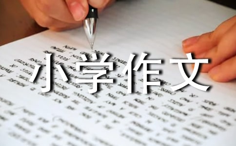 畅想未来小学作文【经典】