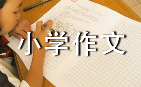 畅想未来小学作文合集15篇