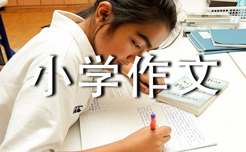 思念小学作文【荐】