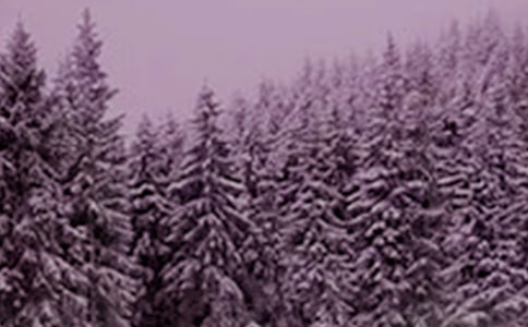 小雪时节问候语