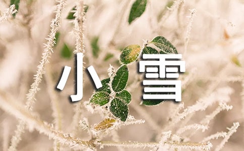 关于描写小雪节气的句子