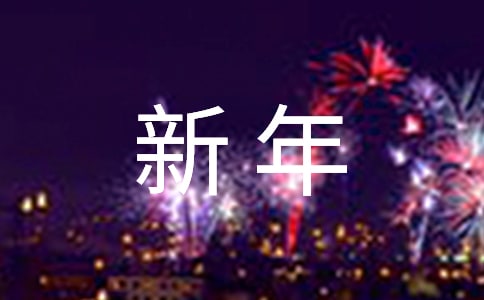 实用的新年工作计划集锦十篇