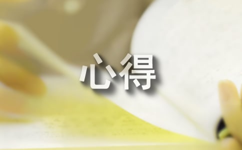 师德师风心得3篇