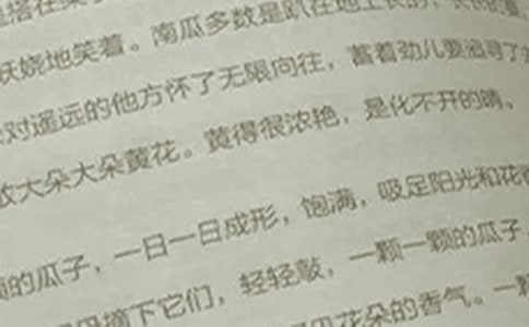 精选语文周记范文锦集6篇
