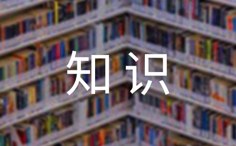 语文知识竞赛作文(集合4篇)