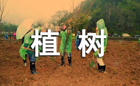 植树造林宣传标语（精选230句）