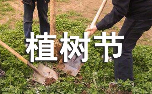 小学生植树节宣传标语250句