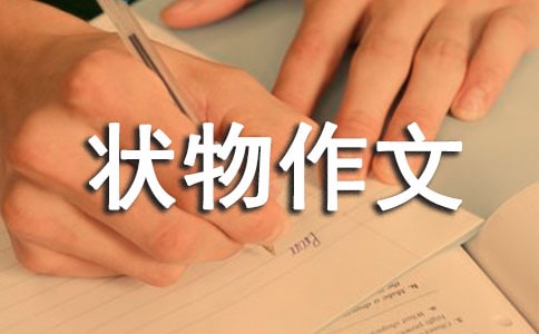 树的状物作文(14篇)