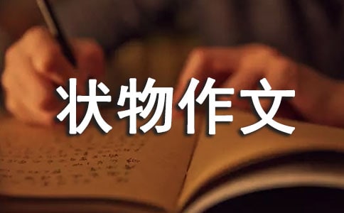 怎样写好状物作文 作文