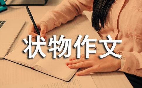 【精华】四年级状物作文集锦十篇