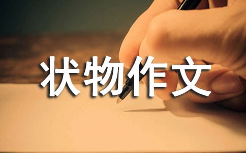 （必备）实用的四年级状物作文