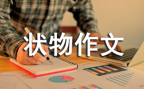 树的状物作文14篇
