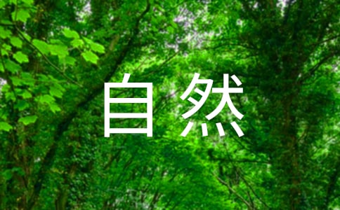 自然灾害应急预案必备15篇