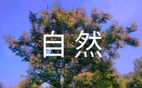 自然与心灵