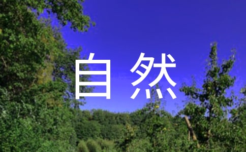 关于我爱大自然作文5篇