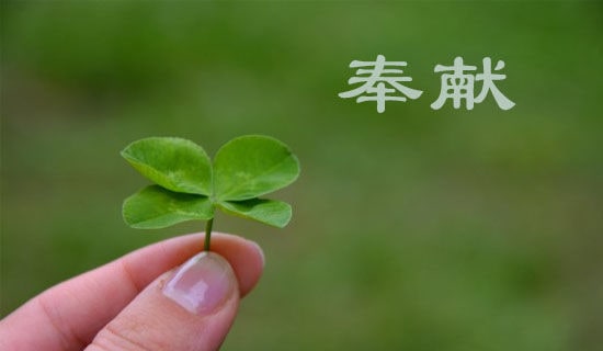 关于奉献的作文600字