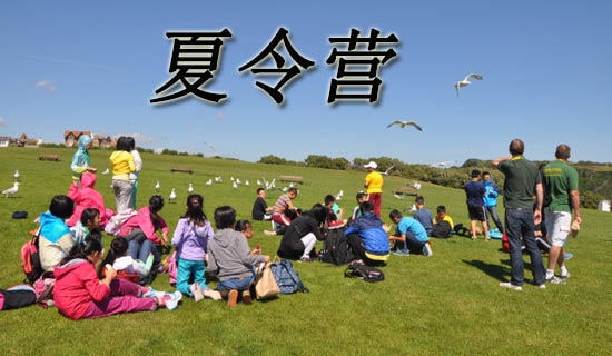 儿子去夏令营给儿子的一封带想念的信（精选8篇）